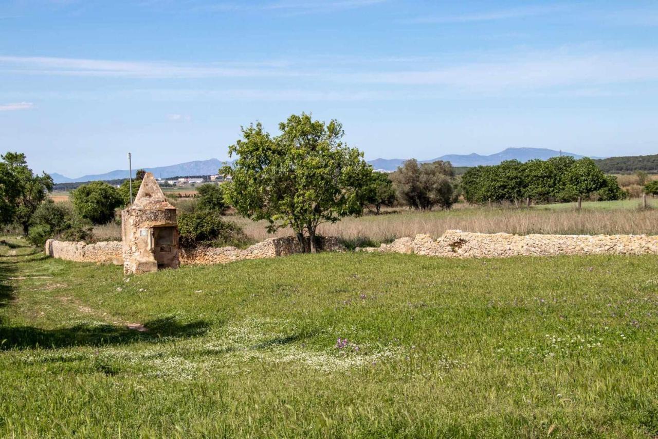 OCELLS DE MONTGRÍ apartamento rural en el Baix Empordà Sobrestany Extérieur photo